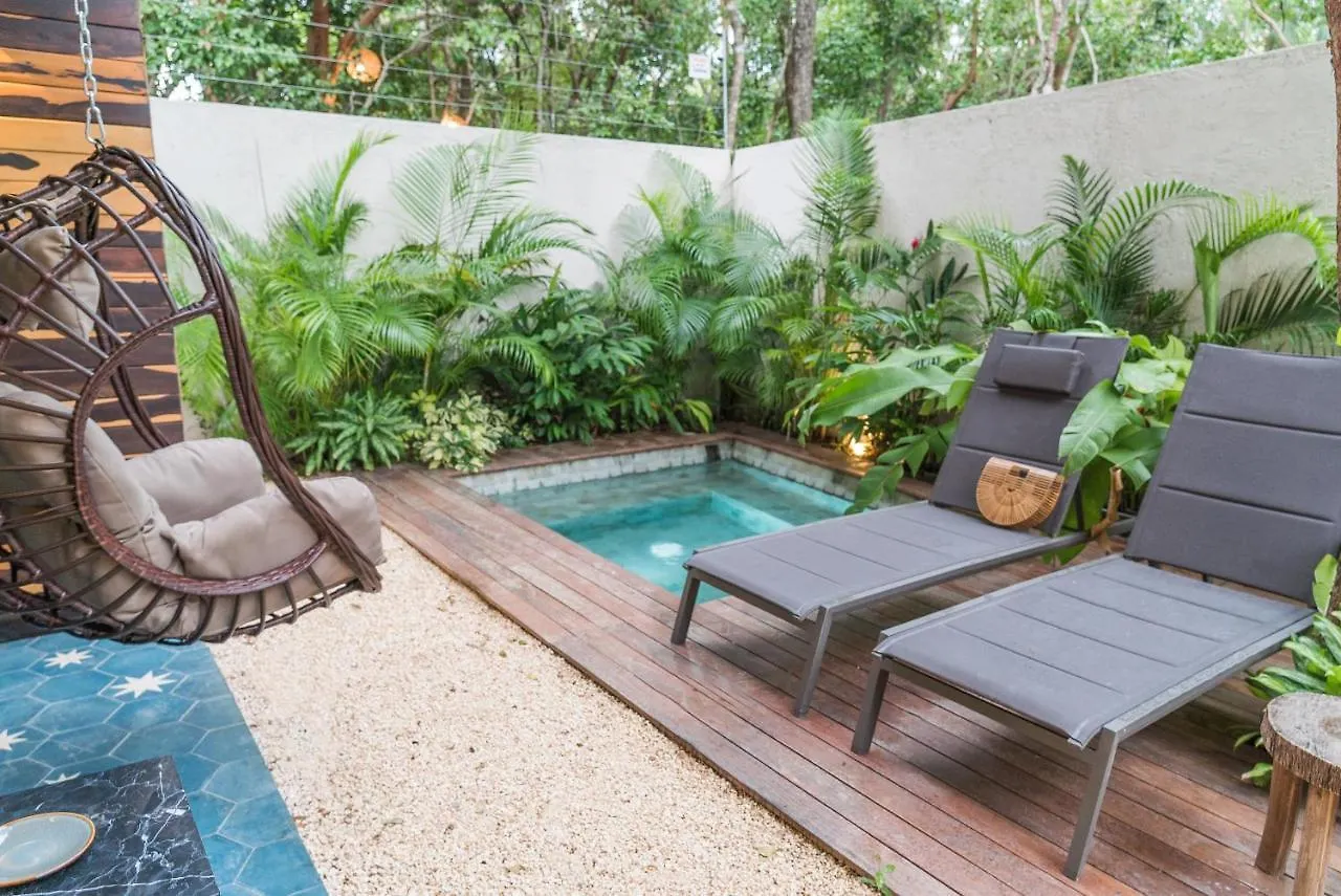 Nice Avant-Garde Studio Charming Private Terrace And Miniplunge Pool And Great Amenities Apartment Tulum