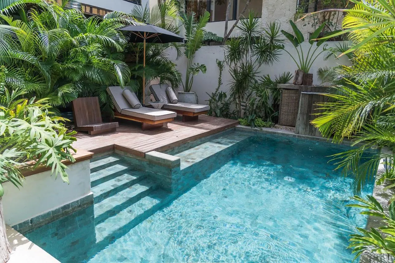 Nice Avant-Garde Studio Charming Private Terrace And Miniplunge Pool And Great Amenities Apartment Tulum