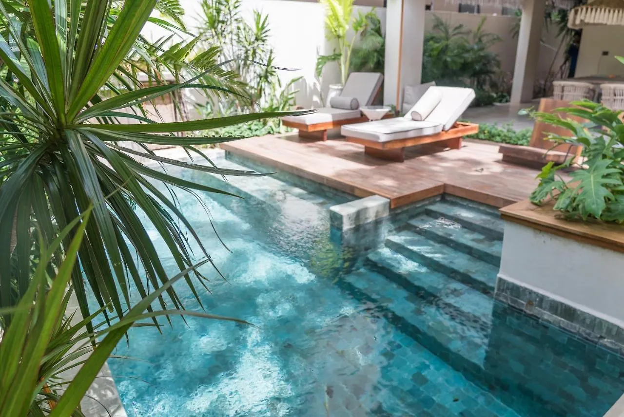 Nice Avant-Garde Studio Charming Private Terrace And Miniplunge Pool And Great Amenities Apartment Tulum