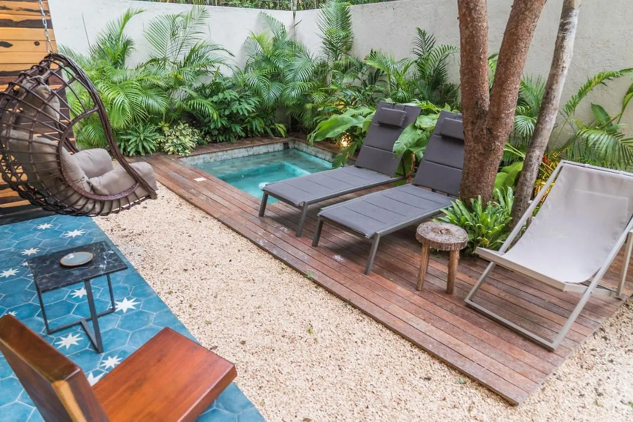 Nice Avant-Garde Studio Charming Private Terrace And Miniplunge Pool And Great Amenities Apartment Tulum