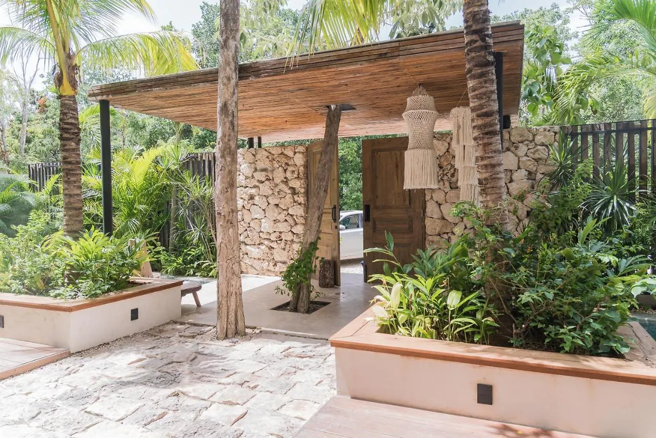 Nice Avant-Garde Studio Charming Private Terrace And Miniplunge Pool And Great Amenities Apartment Tulum